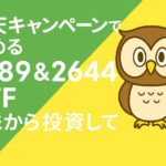 楽天キャンペーンでETFデビュー！1489＆2644を買ってみた」という白い文字が中央に配置された横長のアイキャッチ画像。背景は緑と黄色のツートンカラーで、右側にフクロウのイメージキャラクターが立っている。教育的で親しみやすい雰囲気のデザイン。